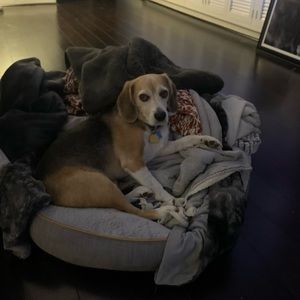 Meet your Posher, Natalie